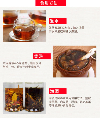 云南回春草不老草500g草苁蓉顶天柱回阳草虎鞭草补男肾泡酒水滋补 - 图2