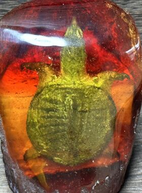 琥珀蜜蜡昆虫动物乌龟原石