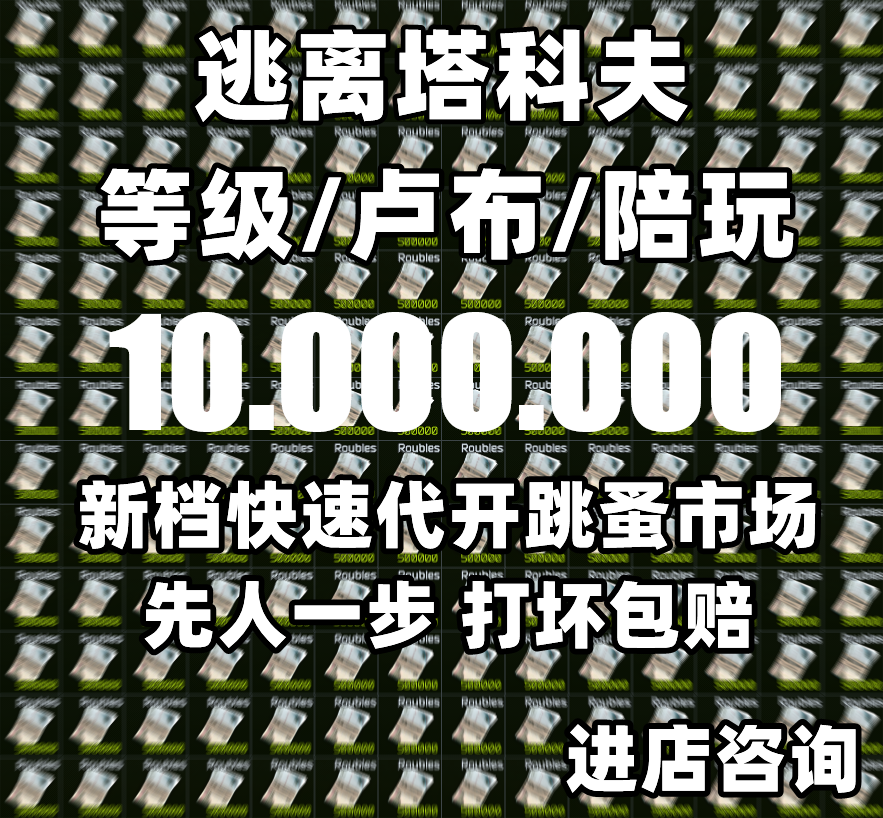 逃离塔科夫陪玩卢布1.5元一百万游戏货币买金耐力量 - 图3