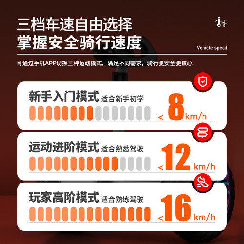领奥电动智能儿童自动平衡车2026新款6到8到12岁10到15岁以上成人 - 图2