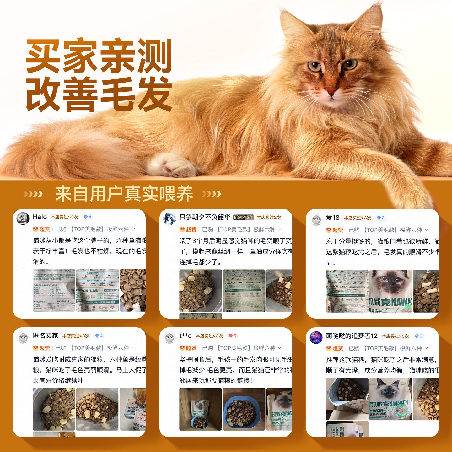 耐威克美毛长肉猫粮试吃生骨肉冻干夹心成幼猫通用猫粮试吃装228g,淘宝优惠券,粉丝福利购,淘宝优惠卷