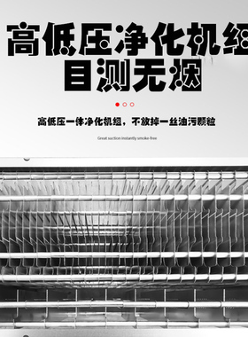 餐饮饭店环保专用低空油烟净化器