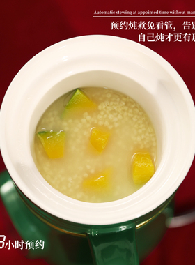 燕窝炖盅迷你煮粥神器养生小型