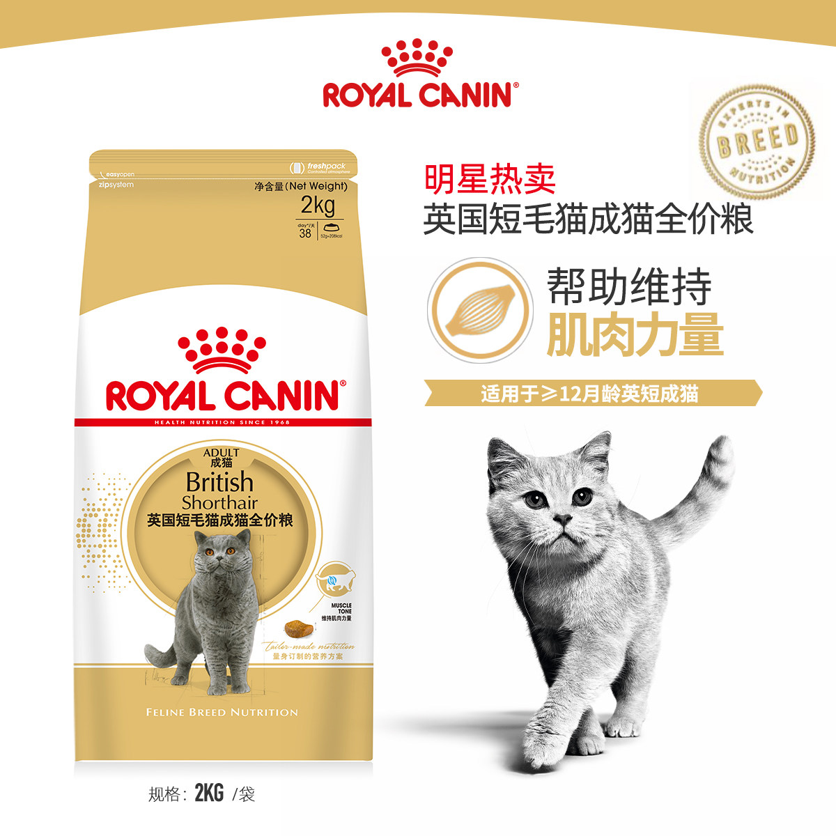 皇家bs34英国短毛成猫粮2kg蓝猫折耳猫主粮厦门实体店发货_虎窝淘