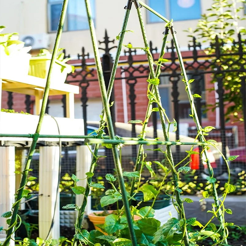 种菜搭架包塑管支架菜园种植架子园艺爬藤架蔬菜架杆丝瓜支撑架 - 图0