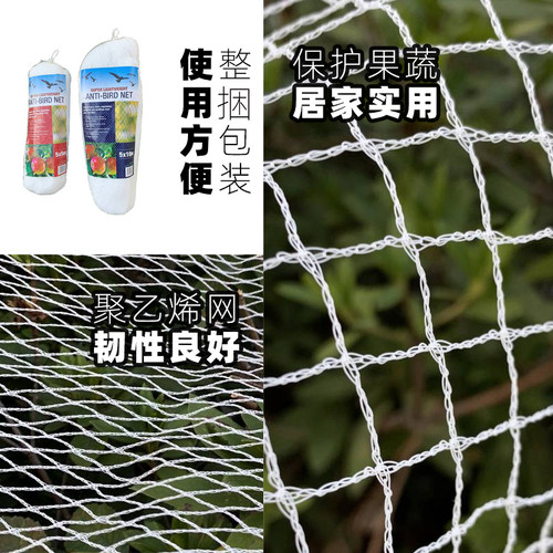 防鸟用的网菜地果园果树落叶葡萄架种菜丝网植物支架防雀罩树网纱 - 图2
