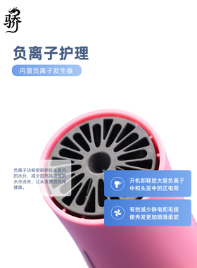 火之凤吹风机M3发廊理发店发型师专用大功率负离子高速电吹风家用