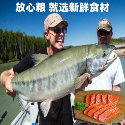 发米瑞低敏三文鱼挑嘴猫粮成猫幼猫通用缅因猫增肥发腮 3斤包邮 - 图1
