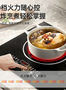 半球双头电磁炉家用【保质10年】