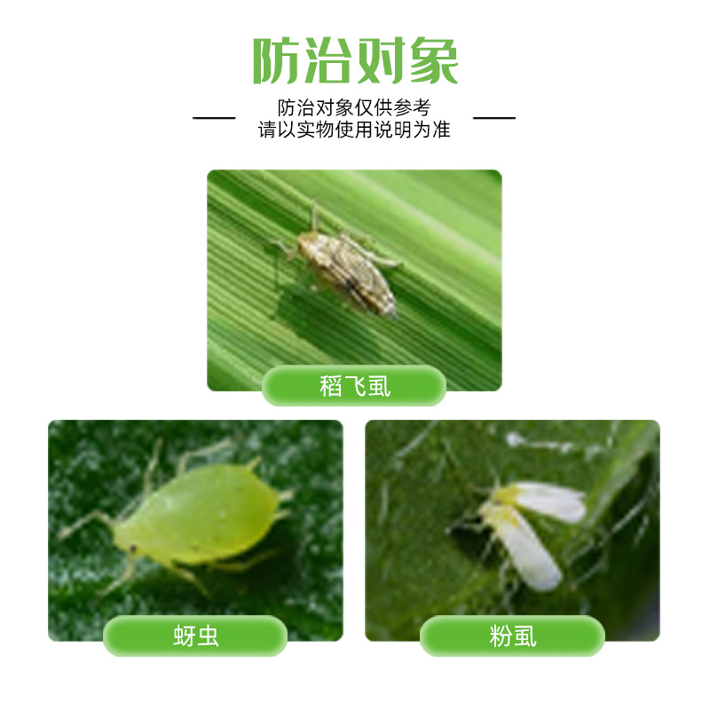 良具 50%噻虫嗪稻飞虱蚜虫水稻蔬菜雾喷农用杀虫剂持效期长农药 - 图1