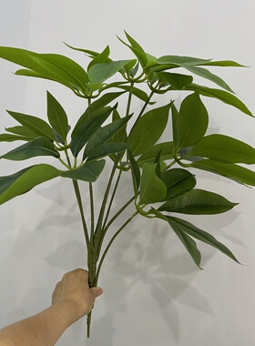 仿真植物日本大叶伞室内客厅装饰摄影摆件园林招财叶盆栽发财绿植