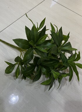 仿真马醉木叶把束小绿植