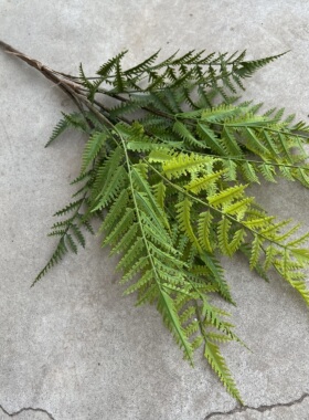 手感仿真绿色蕨类植物肾蕨大叶蕨草热带雨林软胶绿植墙景观造