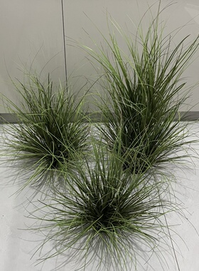 软装道具草丛团草苔藓装饰草