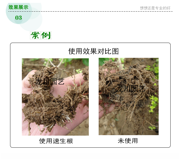 生根液 坪安根帅速生根 植物生根剂 花卉苗木扦插 大树移栽生根粉 - 图0