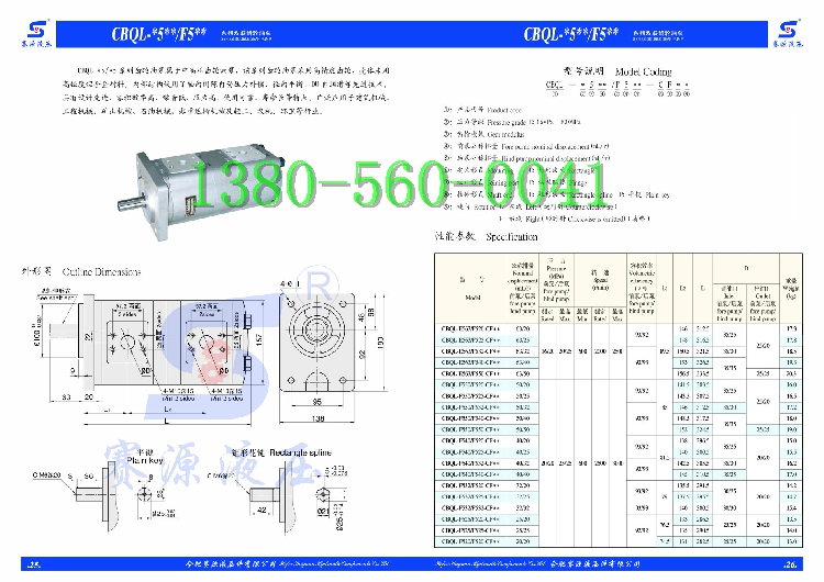 CBQL-F532/F525-CFHL双联齿轮油泵SY合肥赛源CBQL-F532/F525-CFPL - 图2