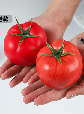 仿真水果摆件西红柿番茄模型幼儿教具仿真西红柿高食品摄影道具