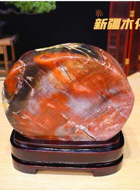 新疆木化石 包邮正品原石 奇石摆件石来运转自然石 硅化木精品