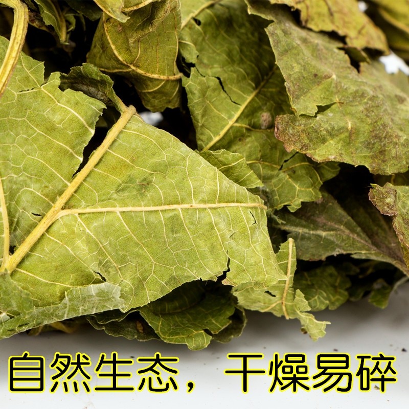 桑叶中药材新货干桑叶500克包邮同仁堂新鲜晒干桑树叶泡水桑叶茶_虎窝淘