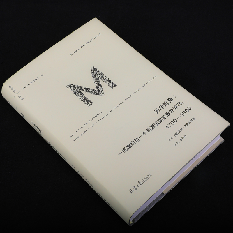 现货 译丛062 无尽沧桑：一纸婚约与一个法国普通家族的浮沉：1700—1900 跨越五代人 书写普通人的怕与爱  理想国图书官方旗舰店 - 图0