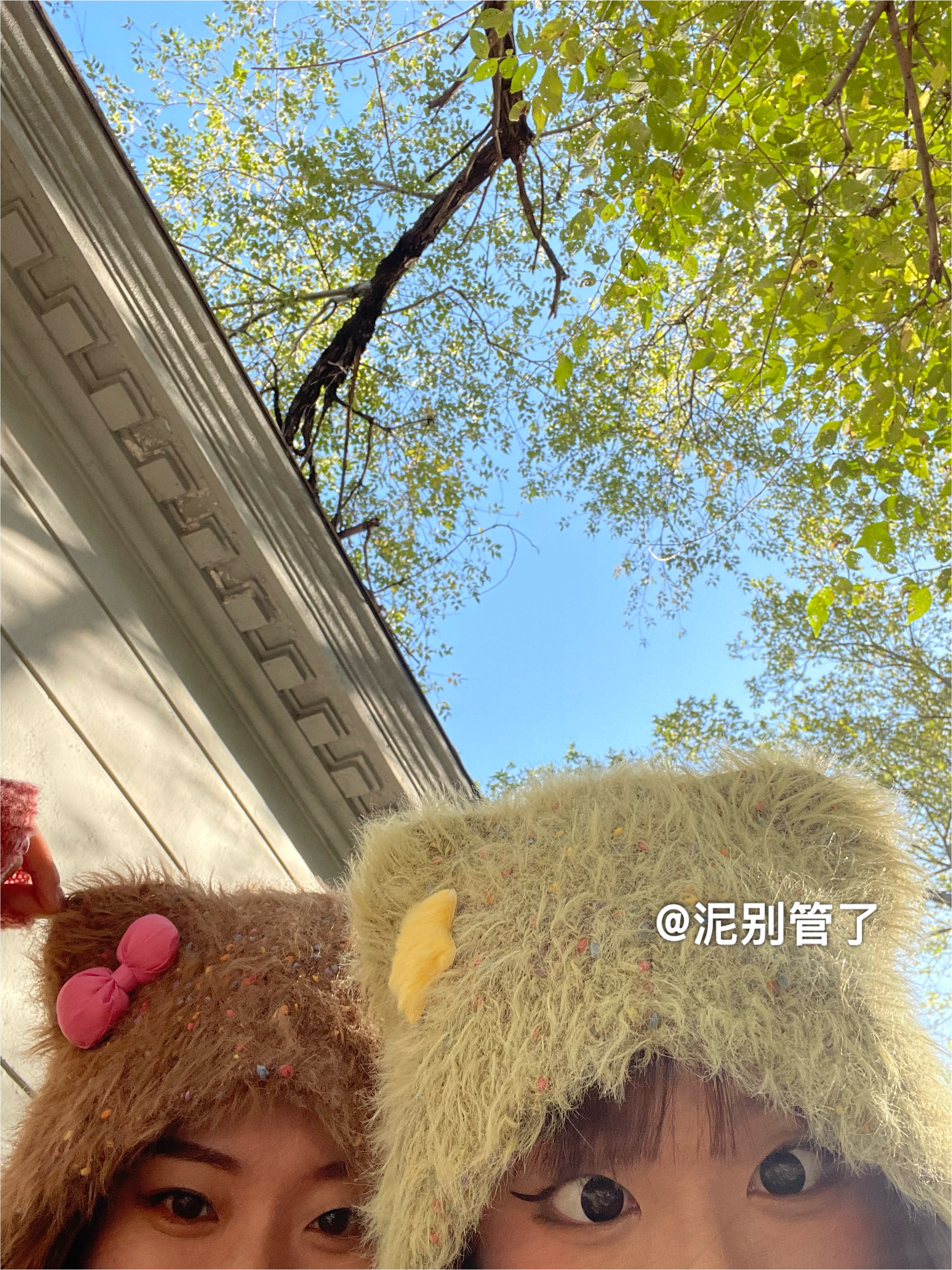 泥别管了/原创！我的好朋友超好rua蝴蝶结软毛毛星彩豆编织毛毛帽 - 图2