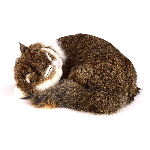 仿真猫咪毛绒玩具动物玩偶创意礼品家居车载装饰摆件儿童礼物包邮 - 图3