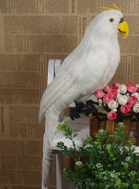 金刚鹦鹉田园风早教森林系仿真鸟