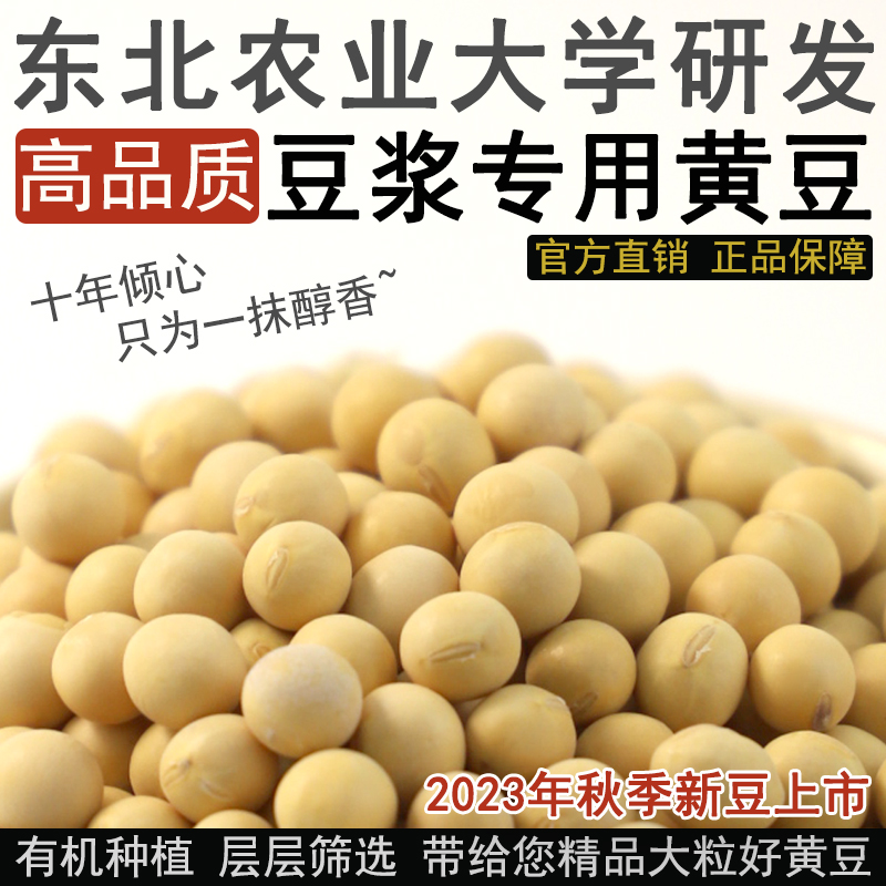 东北农业大学非转基因打豆浆专用豆东农豆252有机黄豆 2023新大豆