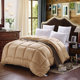 Winter quilt thickened warm winter quilt quilt core