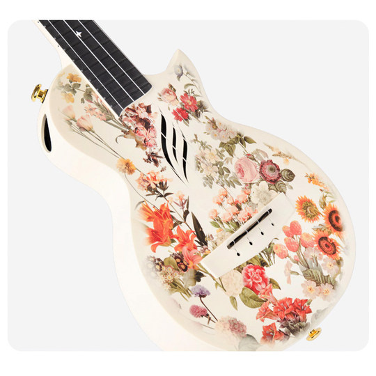 喵了个艺 恩雅Nova U秘密花园碳纤维尤克里里初学23寸原声