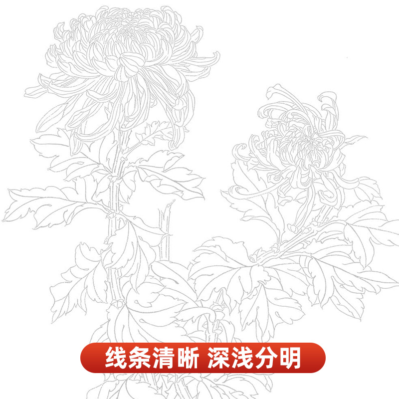 国画白描描摹本3本 花卉植物动物画谱人物工笔画入门套装零基础书临摹自学底稿毛笔宋中国画手绘写意美术绘画画册线条教学教程教材 - 图3