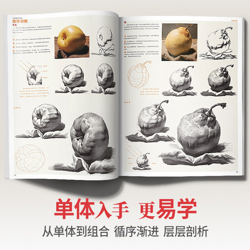 对路素描静物单体组合结构照片画临摹范本基础写生入门考级高考联考教学国美素材几何体蔡兼美术绘画画册本初级书籍教程中考教材书 - 图0