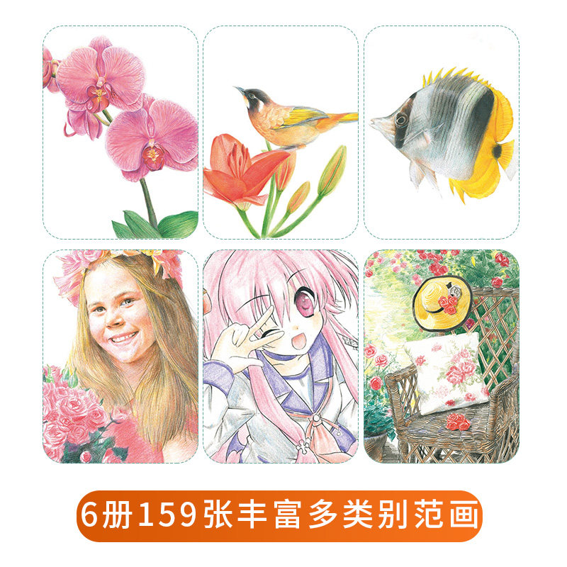 彩铅画合集6册 彩色铅笔风景花卉漫画人物动物花鸟本涂色手绘教程书基础入门美术绘画超写实填色儿童自学教材动漫卡通临摹画册书籍