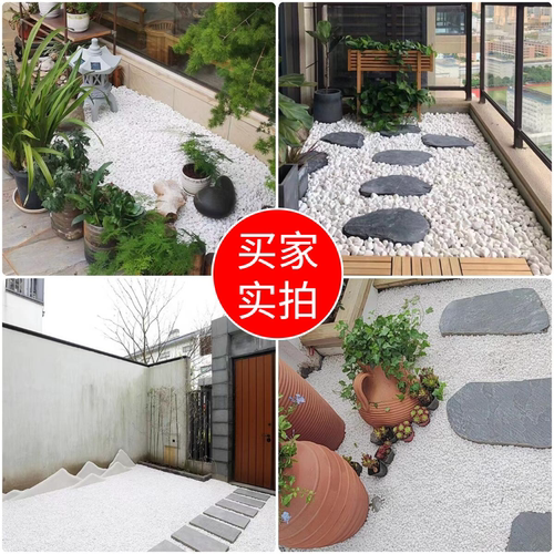 50斤白色石子石头大鹅卵石庭院铺路铺地小白石头园林枯山水白石子 - 图0