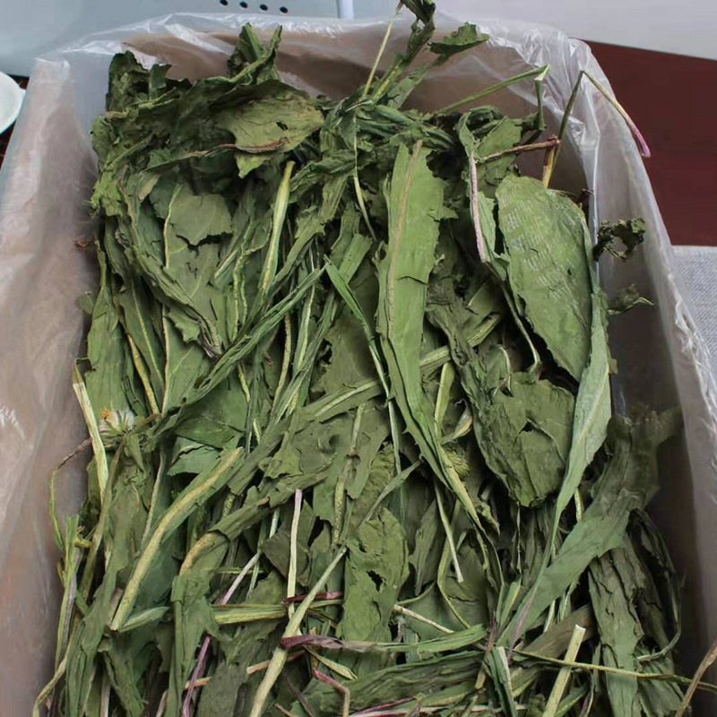 22年新宠物牧草蒲公英干草兔子荷兰猪龙猫鼠干草饲料宠物消炎草 - 图2