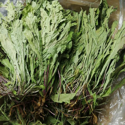 22年新宠物牧草蒲公英干草兔子荷兰猪龙猫鼠干草饲料宠物消炎草