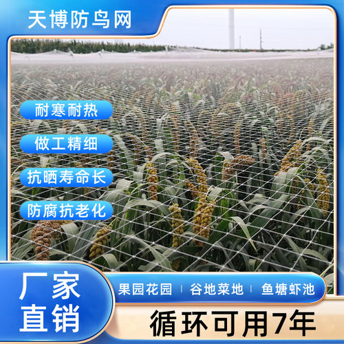 葡萄防鸟网果园樱桃大棚网眼尼龙钓鱼线防乌网果树棕丝用的网阳台 - 图1