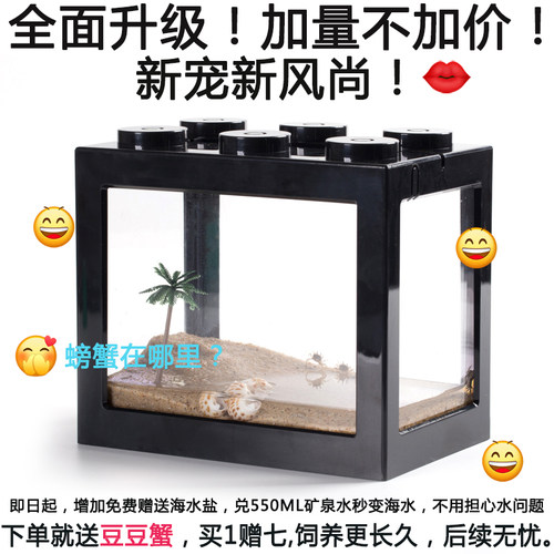 迷你豆豆蟹桌面可爱系小宠物不喂食生态系统缸造景儿童礼物大号 - 图0