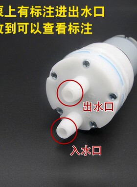 自动上水壶抽水电机12V圆形方形