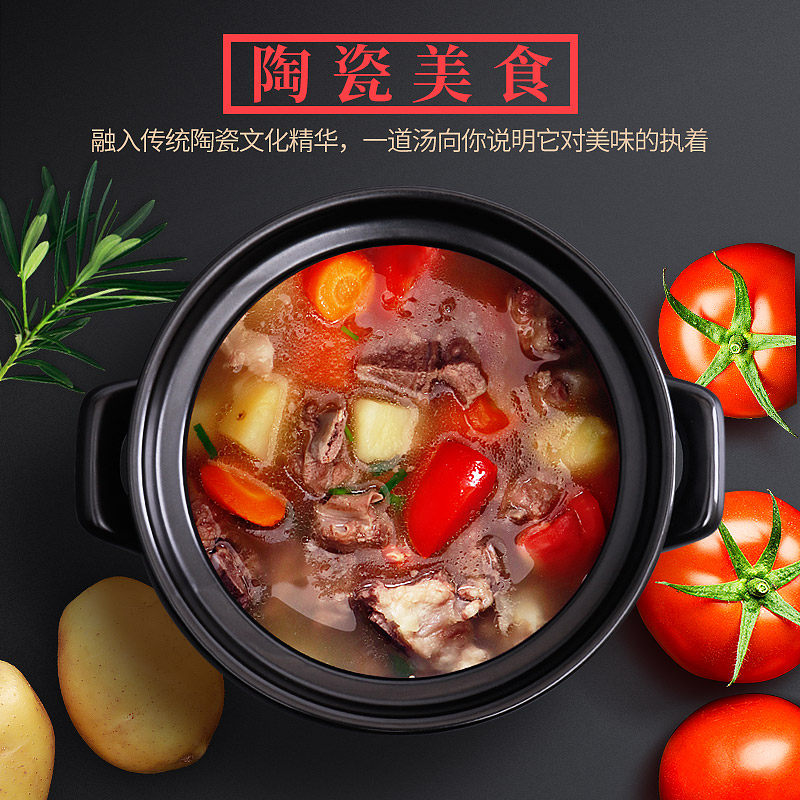 电炖锅厨房养生煲汤陶瓷 竹水溪电器电炖/煮粥锅/文火炉