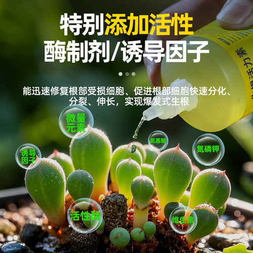 植物专用快速生根活力素复活黄叶盆栽药水花卉通用型营养液安全 - 图2