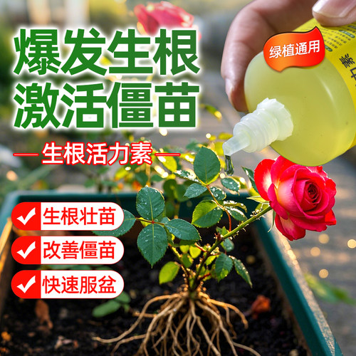 植物专用快速生根活力素复活黄叶盆栽药水花卉通用型营养液安全 - 图0