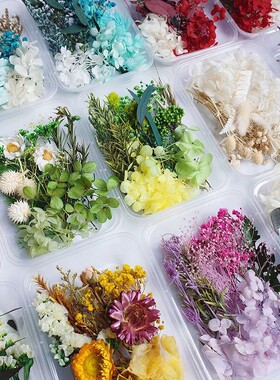 永生花DIY材料包高端干花ins风花材婚鞋玻璃罩团建沙龙手工装饰