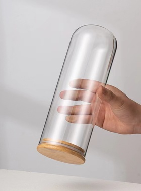 永生花玻璃罩DIY创意摆件花瓶防尘罩竹子松木胶圈密封底座展示盒