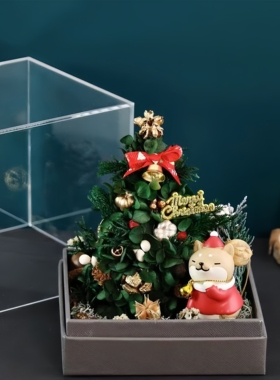 永生花干花创意圣诞装饰手工自制礼品花盒送朋友惊喜圣诞节礼盒