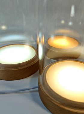 永生花USB发光实木底座防尘玻璃罩花艺展示罩手办香薰装饰保护罩