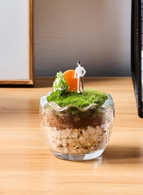 创意蛋形瓶破壳蛋定微景观玻璃器皿DIY仿真植物造景生态杯迷你杯