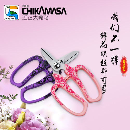 日本进口近正大嘴鸟9000B 8000剪刀花剪铁丝剪二合一插花鲜花枝剪 - 图0