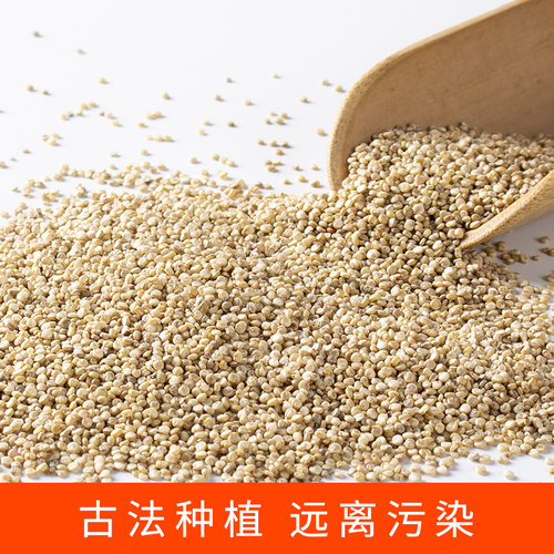 拍1份发9斤 新米白藜麦米五谷杂粮粗粮孕妇宝宝老人辅食黎麦4500g - 图0