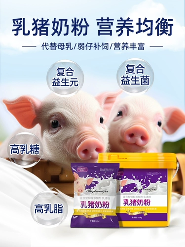 Порошок маленького свинного молока, свинина с свининой, специальное молочное порошок, порошок свиньи, порошок молока для первого рожденного порошка молока для питания
